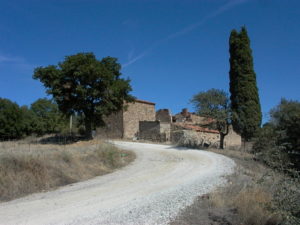 Il rudere di Podere Carceroni 